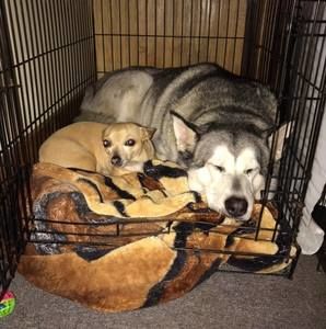 Meet your Posher, Tara